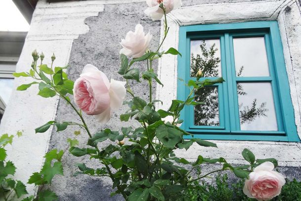 Stauden- und Rosengarten Maad